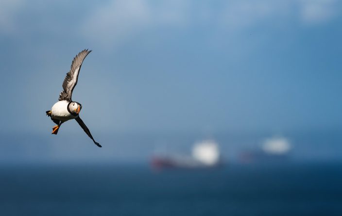 Flyby
