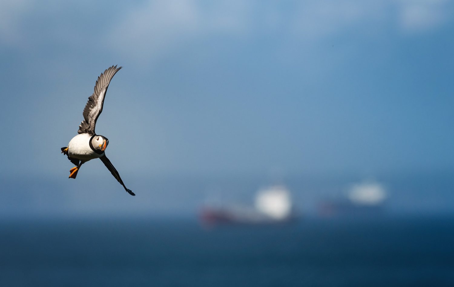 Flyby